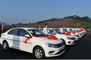 泸州市屹达机动车驾驶员培训服务挂牌成立，助力地区驾驶培训行业发展